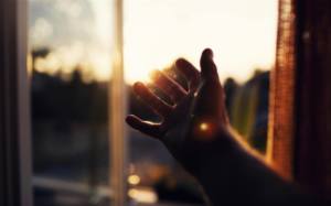 18320632_1896233853968858_7440240258411066612_o